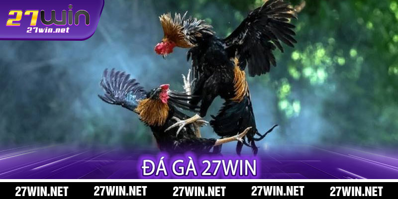 Đá Gà 27win
